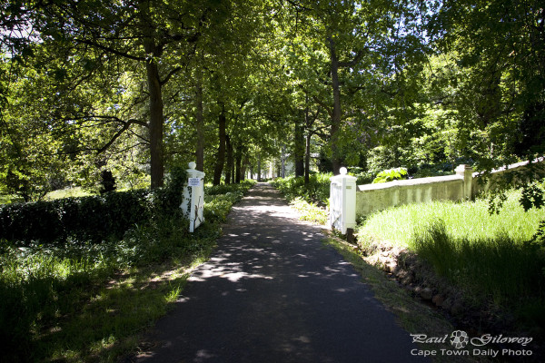 Rustenberg Wines open gardens