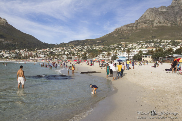 Mountains and beaches