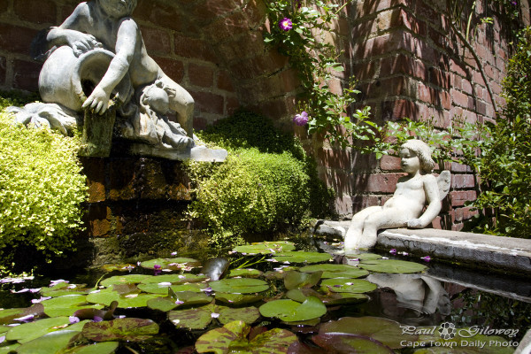 Open gardens: Lilypad pond baby