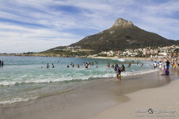 Beautiful Lion's Head