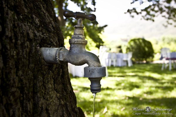 Open gardens: Tree tap