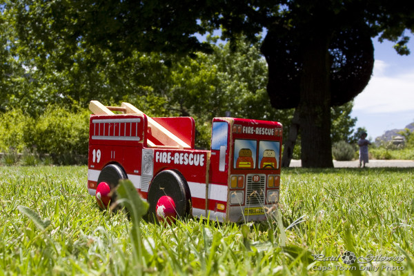 Fire engines and green grass