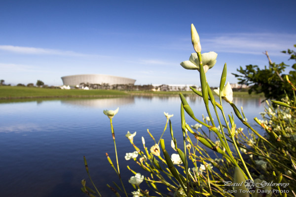 Flowers and stadia