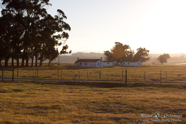 Farmish houses