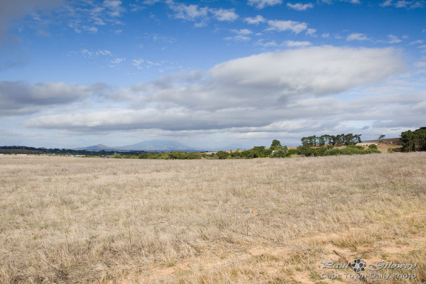 Barren fields