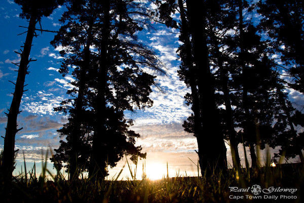 Sunlight betwixt itchy-scratch grass