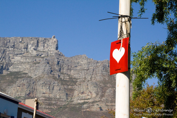 Do you love Cape Town?