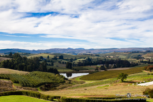 Grabouw's beautiful Elgin Valley