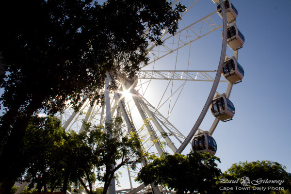 Our sparkling ferris wheel