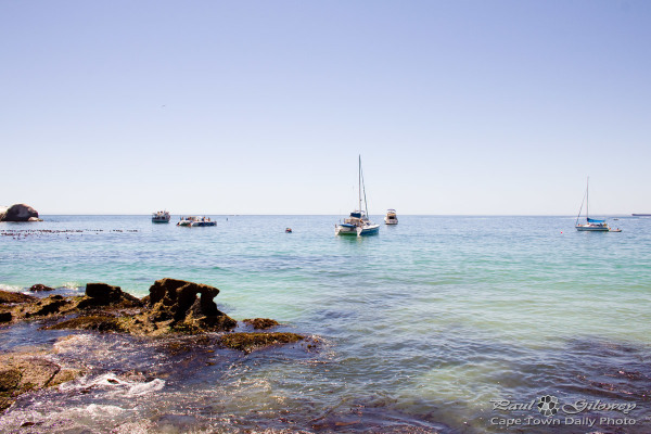 Yachts and cats at Clifton