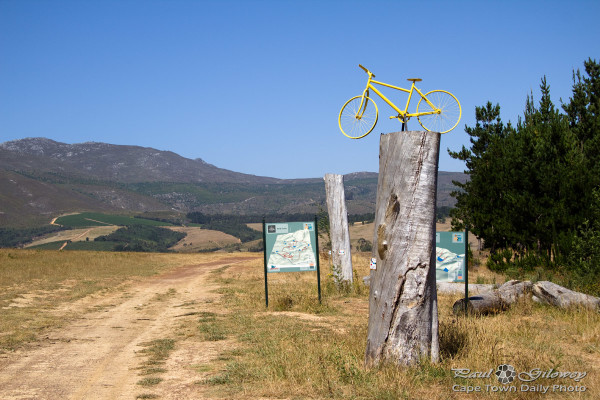 Let's all ride on a yellow MTB