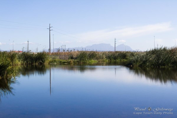 Beauty of the Khayelitsha Wetlands Park