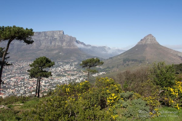 View from Signal Hill's lookout