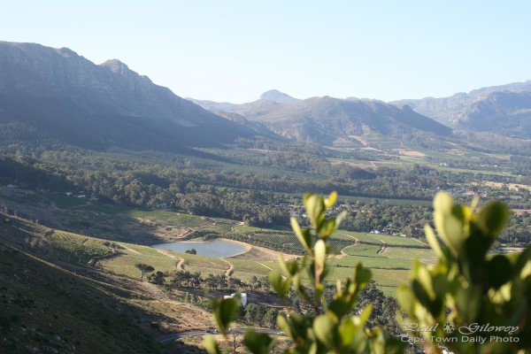 Beautiful Constantia Valley